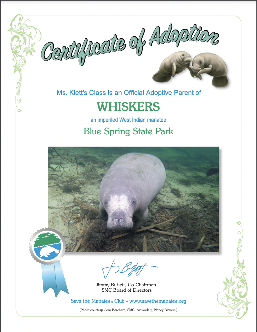Our Classroom Manatee; Whiskers!